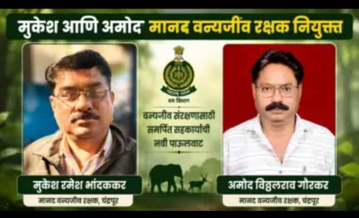 चंद्रपूर जिल्यासाठी मुकेश भांदककर व अमोद गौरकर यांची मानद वन्यजीव रक्षकपदी नियुक्ती